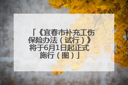 《宜春市补充工伤保险办法（试行）》将于6月1日起正式施行（图）