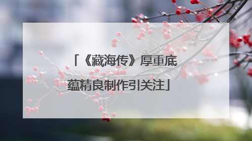 《藏海传》厚重底蕴精良制作引关注