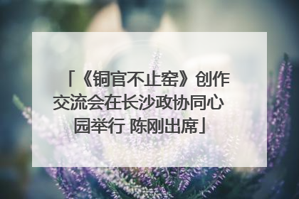 《铜官不止窑》创作交流会在长沙政协同心园举行 陈刚出席