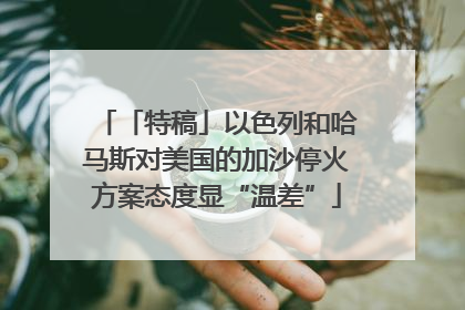 「特稿」以色列和哈马斯对美国的加沙停火方案态度显“温差”