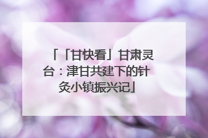 「甘快看」甘肃灵台：津甘共建下的针灸小镇振兴记
