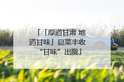 「厚道甘肃 地道甘味」夏菜丰收 “甘味”出陇