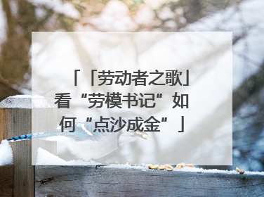 「劳动者之歌」看“劳模书记”如何“点沙成金”