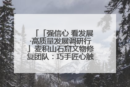 「强信心 看发展·高质量发展调研行」麦积山石窟文物修复团队：巧手匠心触摸“光阴的故事”
