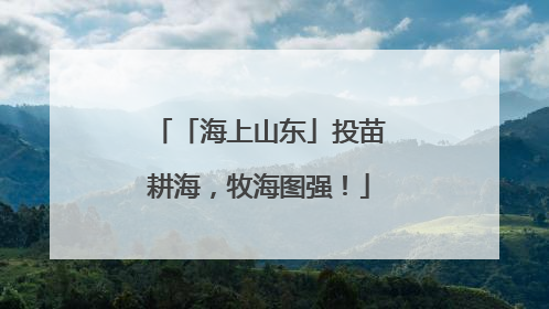 「海上山东」投苗耕海，牧海图强！