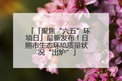 「聚焦“六五”环境日」最新发布！日照市生态环境质量状况“出炉”
