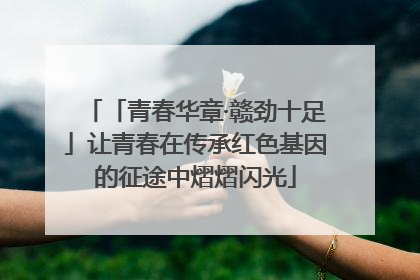 「青春华章·赣劲十足」让青春在传承红色基因的征途中熠熠闪光