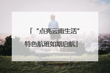“点亮云南生活”特色航班如期启航
