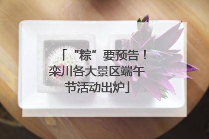 “粽”要预告！栾川各大景区端午节活动出炉