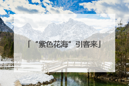 “紫色花海”引客来