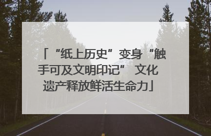 “纸上历史”变身“触手可及文明印记” 文化遗产释放鲜活生命力