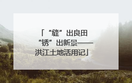 “缝”出良田 “锈”出新景——洪江土地活用记