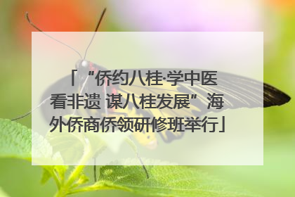 “侨约八桂·学中医 看非遗 谋八桂发展”海外侨商侨领研修班举行