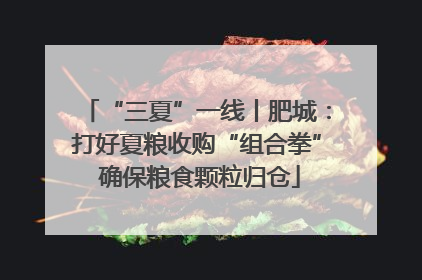 “三夏”一线丨肥城：打好夏粮收购“组合拳” 确保粮食颗粒归仓