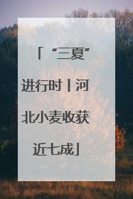 “三夏”进行时丨河北小麦收获近七成