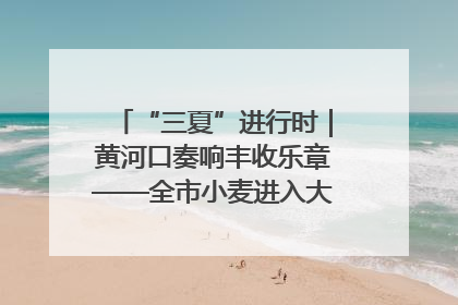 “三夏”进行时｜黄河口奏响丰收乐章——全市小麦进入大面积收获高峰期