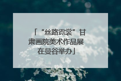 “丝路霓裳”甘肃画院美术作品展在曼谷举办