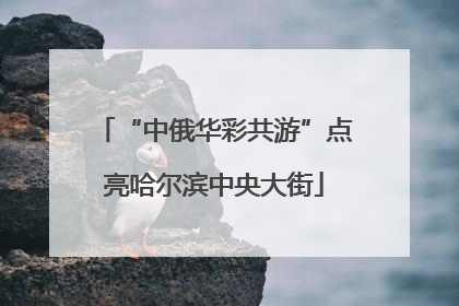 “中俄华彩共游”点亮哈尔滨中央大街