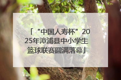 “中国人寿杯”2025年漳浦县中小学生篮球联赛圆满落幕
