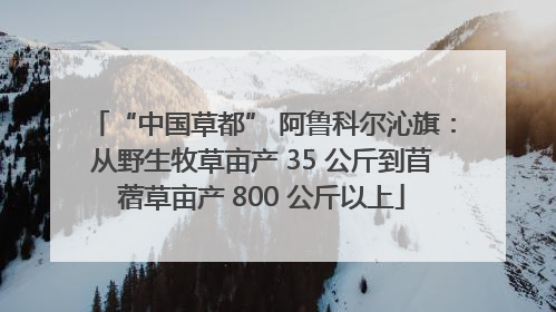 “中国草都” 阿鲁科尔沁旗：从野生牧草亩产 35 公斤到苜蓿草亩产 800 公斤以上