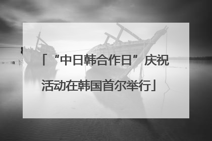 “中日韩合作日”庆祝活动在韩国首尔举行