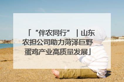 “伴农同行”｜山东农担公司助力菏泽巨野蛋鸡产业高质量发展