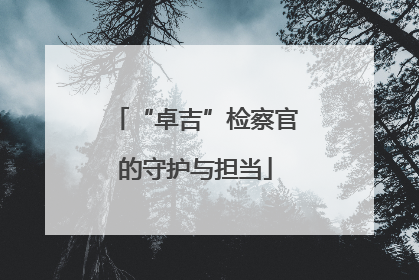 “卓吉”检察官的守护与担当