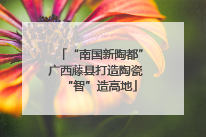 “南国新陶都”广西藤县打造陶瓷“智”造高地