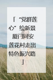 “党群莲心”绘新景 厦门同安莲花村走出特色振兴路