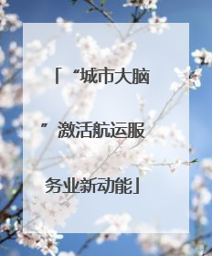 “城市大脑”激活航运服务业新动能