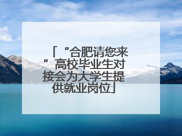 “合肥请您来”高校毕业生对接会为大学生提供就业岗位