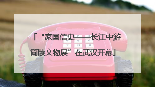 “家国信史——长江中游简牍文物展”在武汉开幕