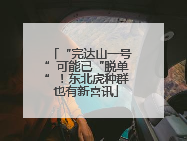 “完达山一号”可能已“脱单”！东北虎种群也有新喜讯