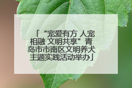 “宠爱有方 人宠相融 文明共享”青岛市市南区文明养犬主题实践活动举办