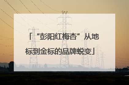 “彭阳红梅杏”从地标到金标的品牌蜕变
