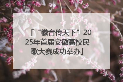 “徽音传天下”2025年首届安徽高校民歌大赛成功举办