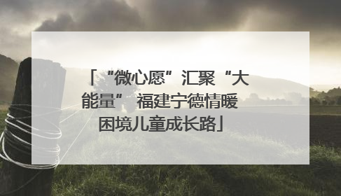 “微心愿”汇聚“大能量” 福建宁德情暖困境儿童成长路