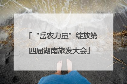 “岳农力量”绽放第四届湖南旅发大会