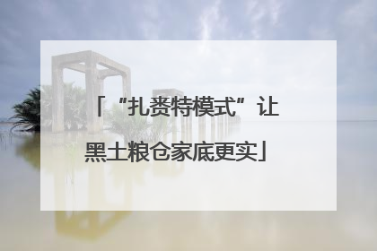 “扎赉特模式”让黑土粮仓家底更实
