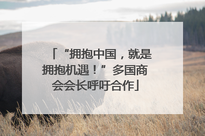 “拥抱中国，就是拥抱机遇！”多国商会会长呼吁合作