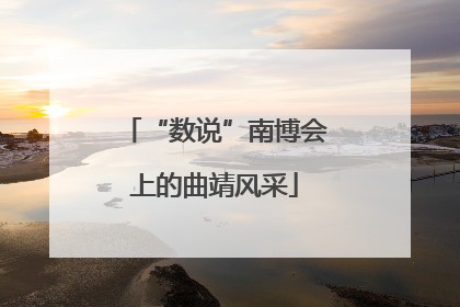 “数说”南博会上的曲靖风采