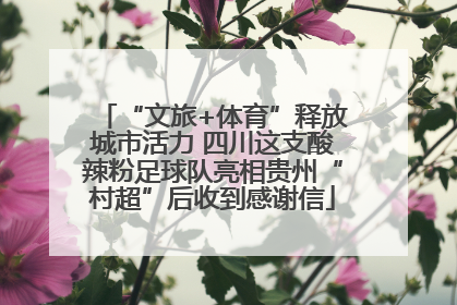 “文旅+体育”释放城市活力 四川这支酸辣粉足球队亮相贵州“村超”后收到感谢信