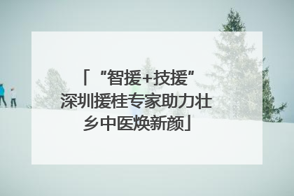 “智援+技援” 深圳援桂专家助力壮乡中医焕新颜