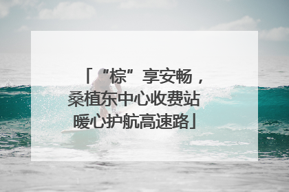 “棕”享安畅，桑植东中心收费站暖心护航高速路