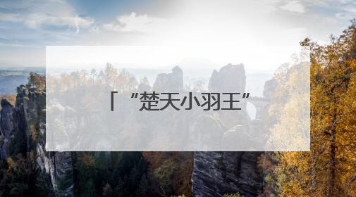 “楚天小羽王”湖北省羽毛球青少年俱乐部联赛新锐组比赛圆满落幕
