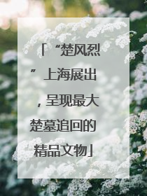 “楚风烈”上海展出，呈现最大楚墓追回的精品文物