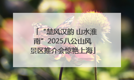 “楚风汉韵 山水淮南”2025八公山风景区推介会惊艳上海