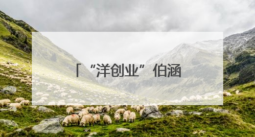 “洋创业”伯涵峥：在中国当一名AI“弄潮儿”