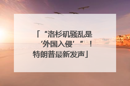 “洛杉矶骚乱是‘外国入侵’”！特朗普最新发声