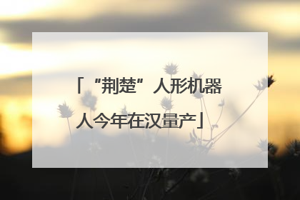 “荆楚”人形机器人今年在汉量产